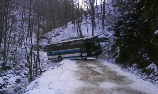 Autobus vozio izletnike na planinu, pa skliznuo s ceste