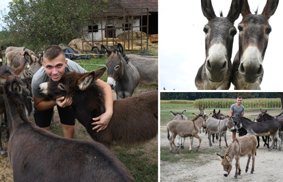 Lovro (17): S 10 sam si godina kupio magaricu Smokvicu, a sad vodim brigu o čitavom stadu