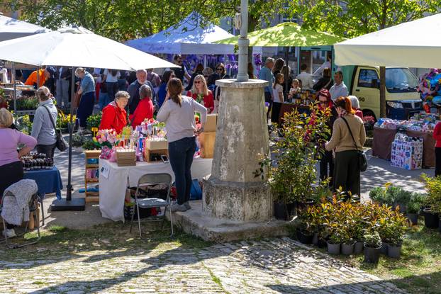 Svetivinčenat: Fešta od Rožic