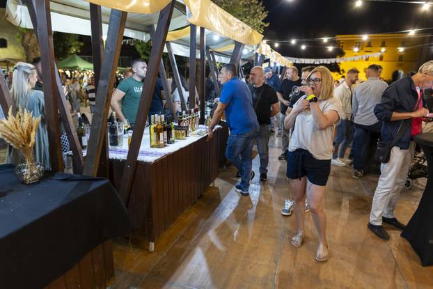 Ilok: Otvorenje 58. Iločke berbe grožđa