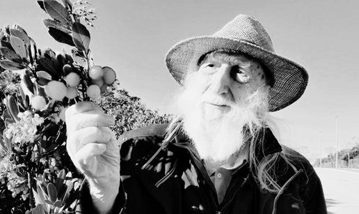 Umro je zadarski kapetan &Scaron;ime Gr&zcaron;an, koautor pjesme 'Jugo'