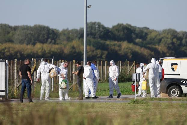 Sokolovac: Kreće eutanazija svinja, uvode se novi sigurnosni protokoli