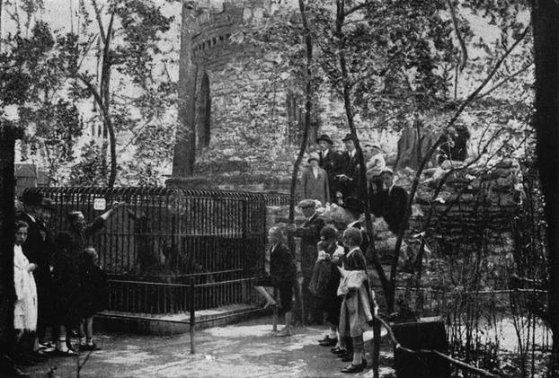 Začarani dvor - najstarija nastamba u Vrtu iz 925. godine, koja je i danas dostupna za razgledavanje, kao edukacijski centar