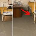 VIDEO Užas u šatorima sisačke bolnice: Nema zraka ni vode, a među pacijentima šetaju štakori