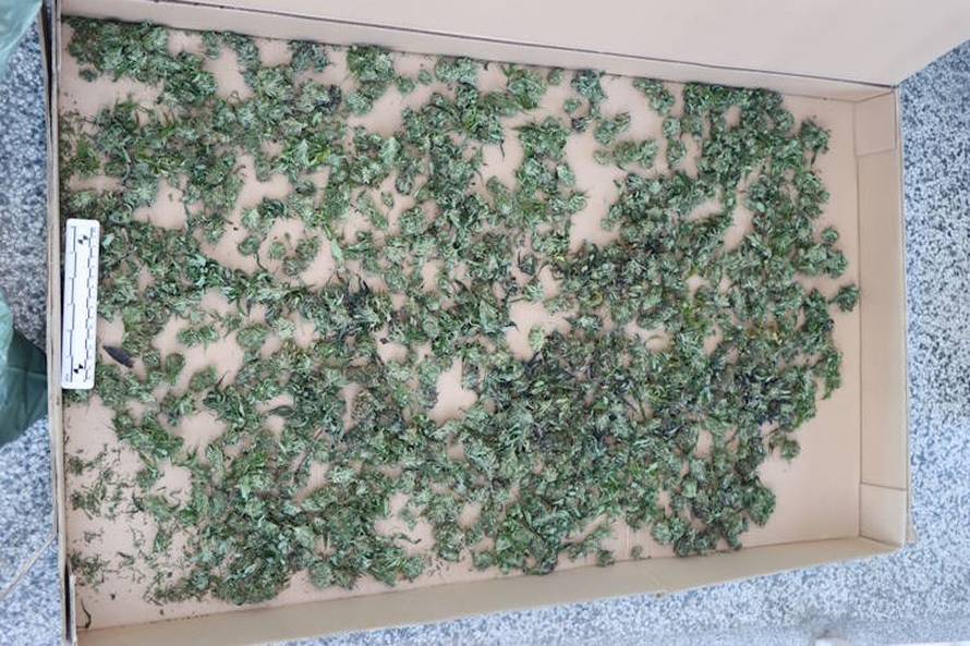 U Zaprešiću uzgajao travu, dilao na Trešnjevci: Policija ulovila još jednog vremešnog dilera