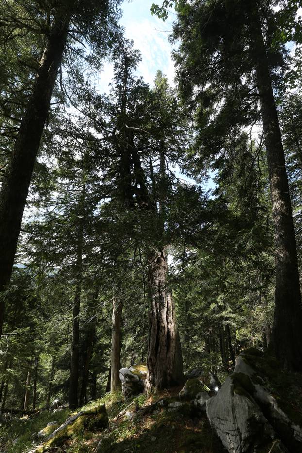 30 stvari koje svatko od nas treba napraviti jednom u životu