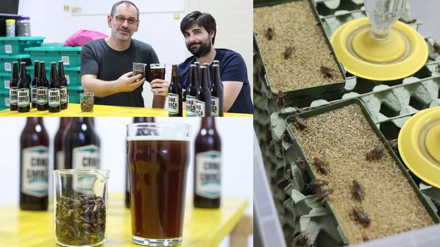 Hrvatski proizvod: Prvi u Europi napravili smo pivo od cvrčaka