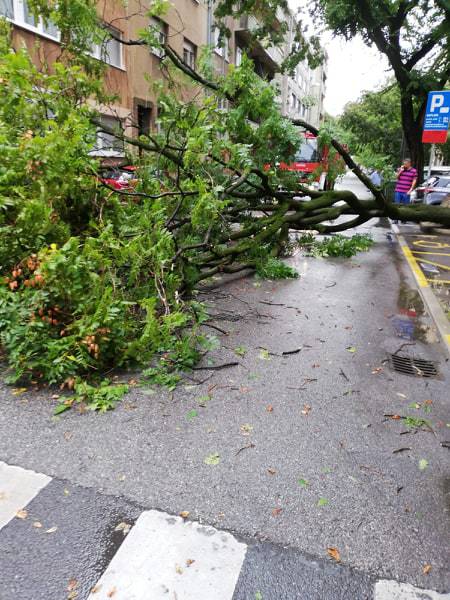 Nevrijeme u Zagrebu: Na auto palo stablo, blokiralo je i ulicu