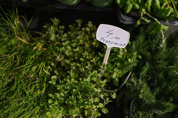 24sata Zagreb: Ponuda cvijeća na Dolcu 