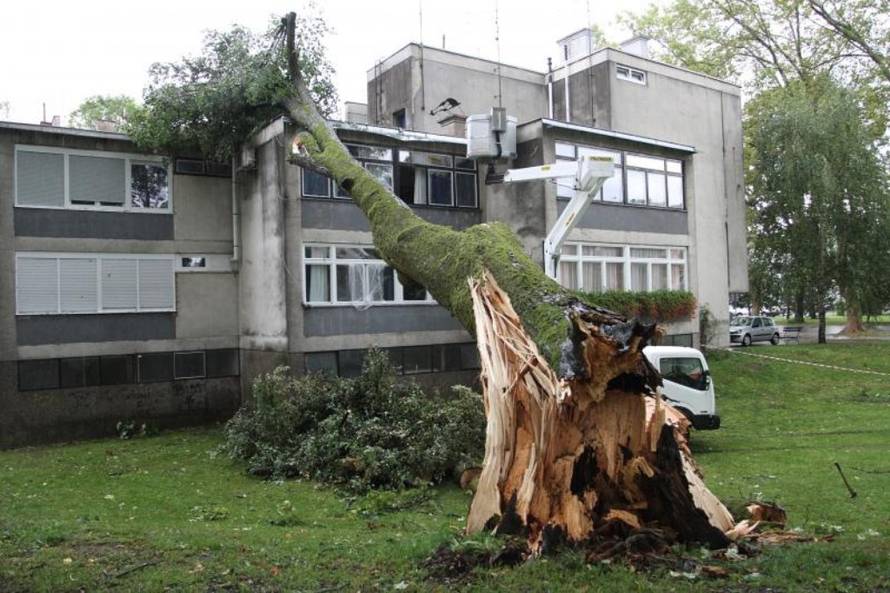 Kristina Štedul Fabac/Pixsell