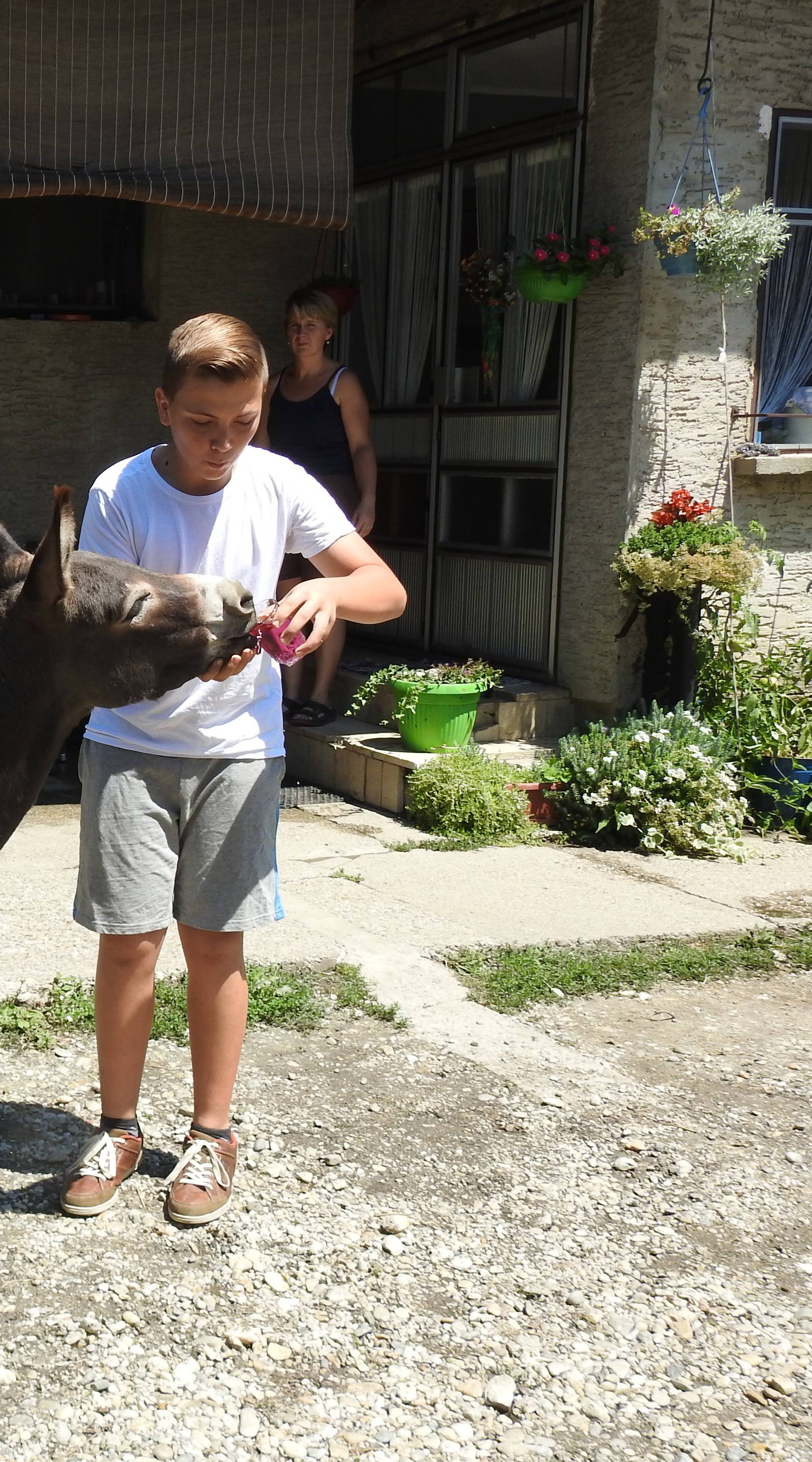 Mladi poduzetnik:  Lovro kupio je magaricu novcem od krizme