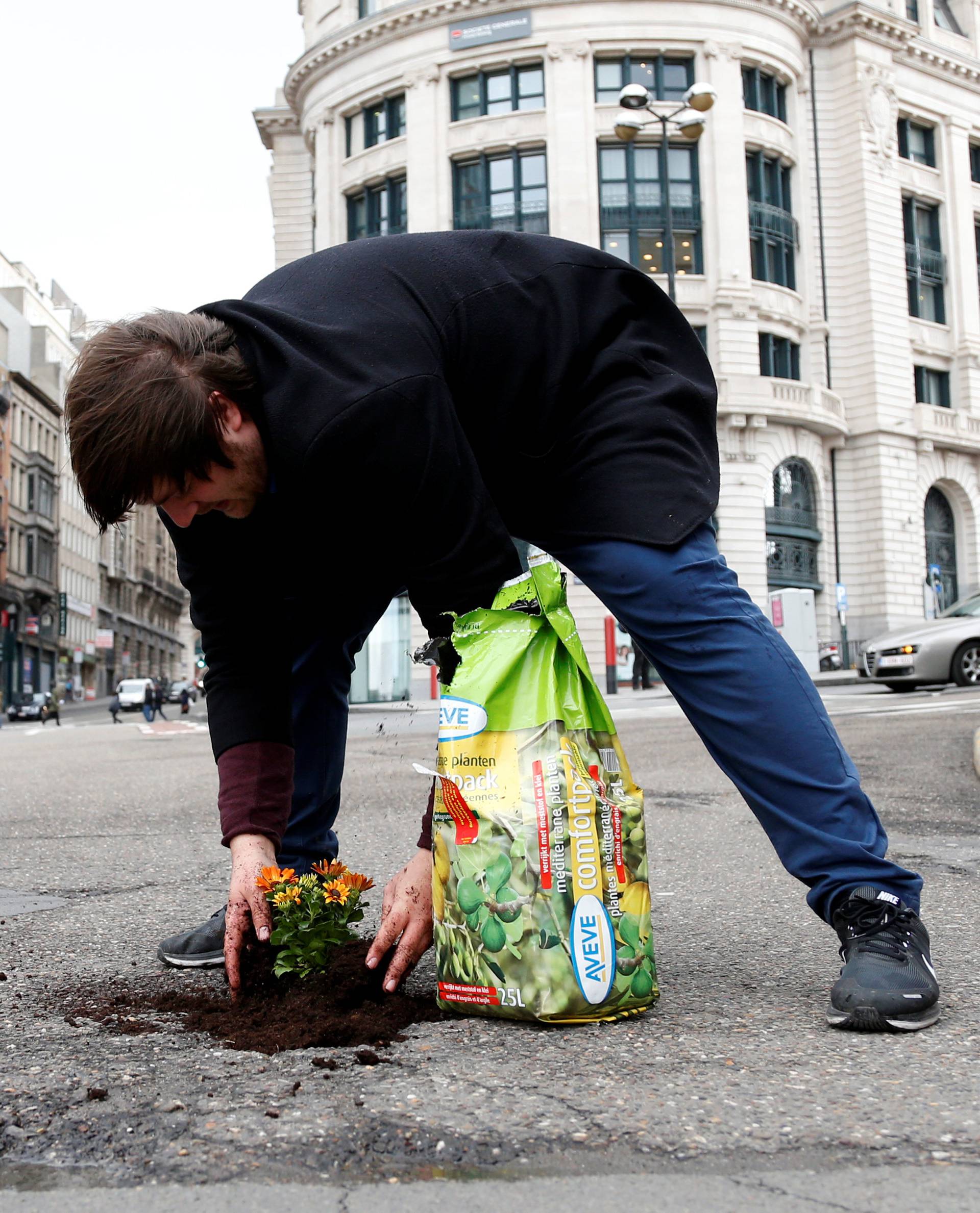 Brussels resident Anton Schuurmans plants flowers in an unrepaired pothole to draw attention to the bad state of public roads in Brussels