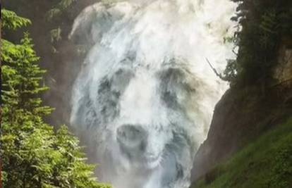 Optička iluzija. Što vidite prvo: Vodopad? Pandu? Evo što znači