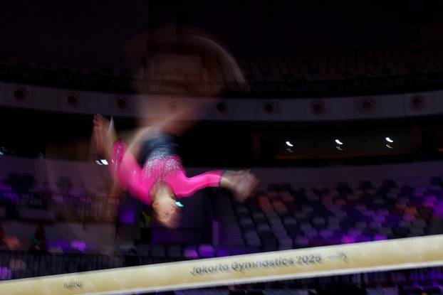 2025 World Artistic Gymnastics Championships