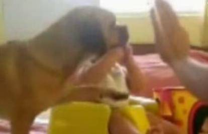 Pružao djetetu ruku, ali odazvao mu se njegov pas