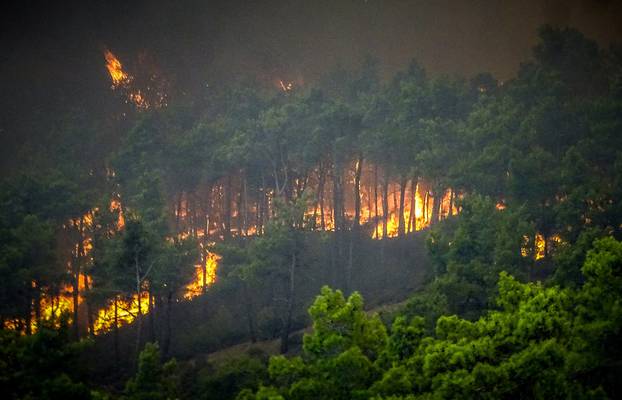 Wildfires burn forests on Greek island of Rhodes