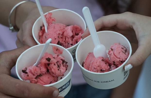 Održana je manifestacija Dani jagoda u Vrgorcu