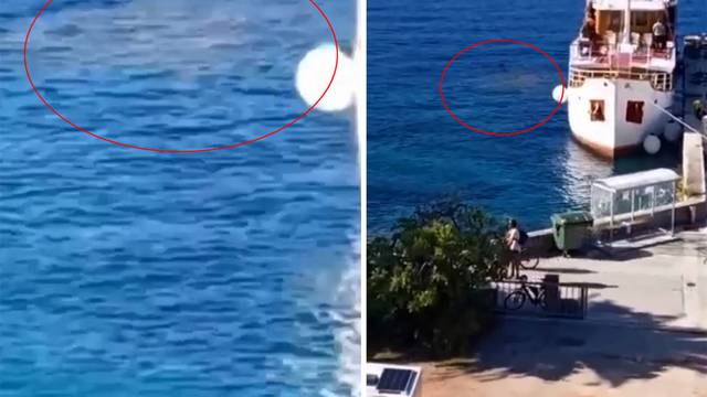 VIDEO Snimili brod na Pelješcu kako ispušta smeđu tvar u more