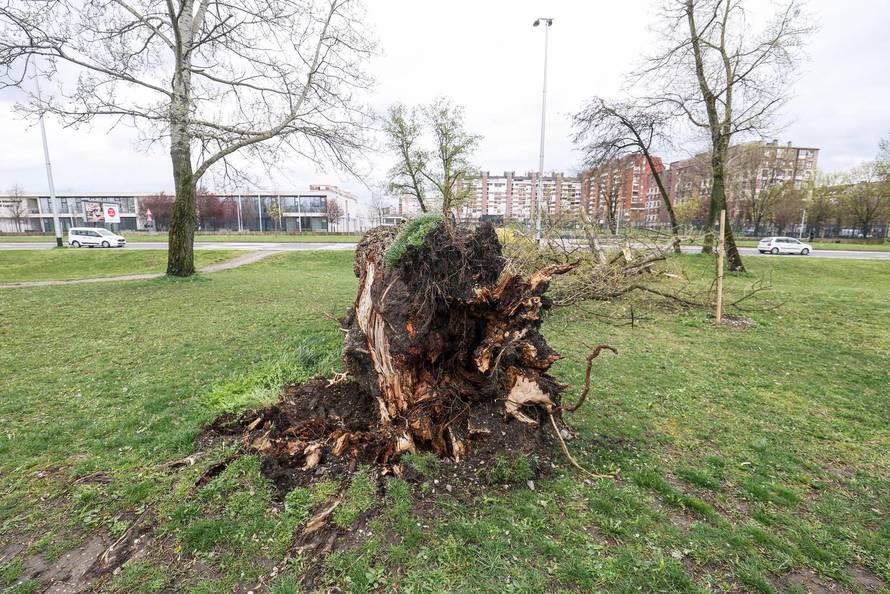 Zagreb: Olujno nevrijeme počupalo stabla na Bundeku 