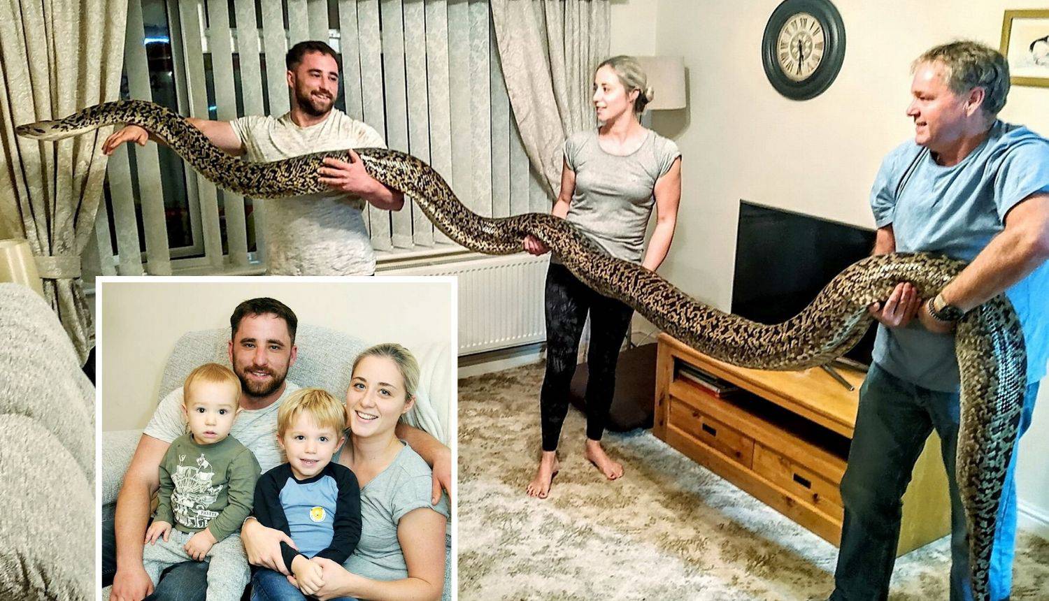 U kući s dvoje male djece drži pitona od 5,5 metara i 110 kg