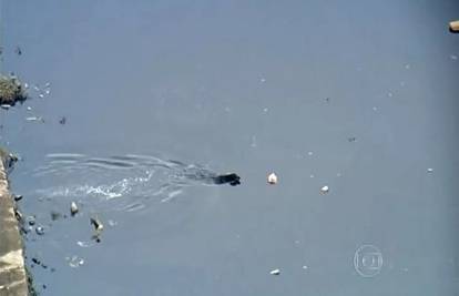 Pas skače i pliva zagađenom rijekom iz koje sakuplja otpad