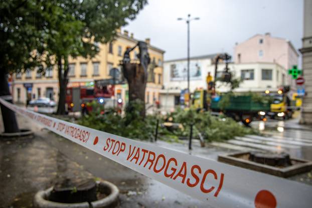 Pula: Srušeno napuklo stablo na Giardinima 