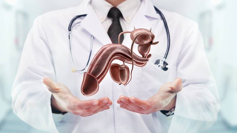 Znanstvenici otkrili 'mušku G-točku'! Područje prepuno živaca godinama je bilo zanemareno