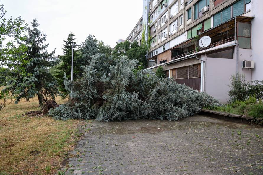 Zagreb: Vatrogasci uklanjaju stablo koje je palo u Ulici Svetog Mateja