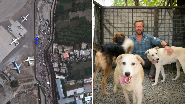 U avion ukrcali 200 mačaka i pasa. Nije htio napustiti Kabul bez životinja o kojima je brinuo