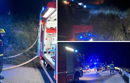Čak 50 vatrogasaca s 13 vozila gasilo je požar kod Podgore - gorjelo nisko raslinje i borovina