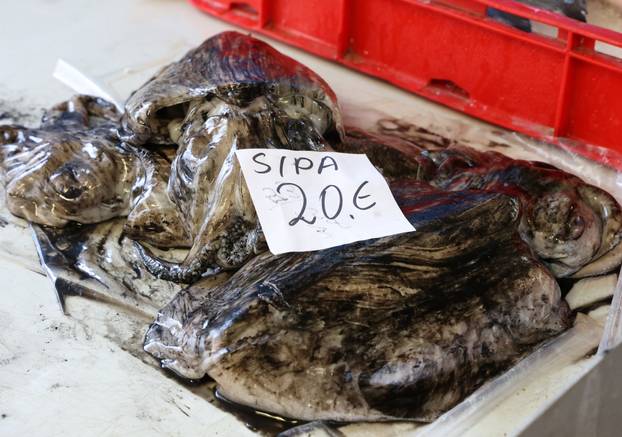 Šibenik: Poskupljenje plavog dizela još se nije odrazilo na cijene u ribarnici