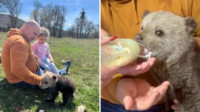 Čudo kraj Gospića! 'Na Uskrs dođe zeko, a nama je ušetao beba medo! Spasili smo ga'