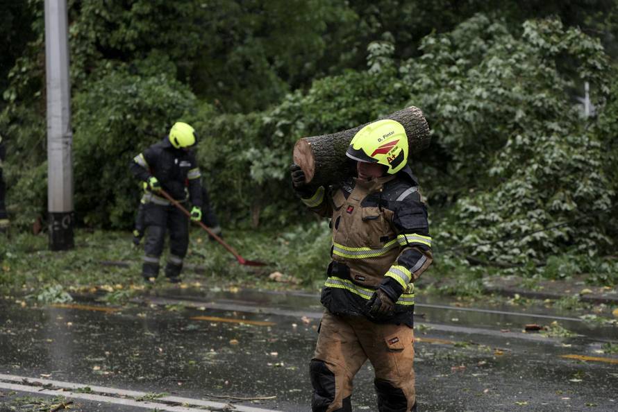 Zagreb: Palo stablo na Maksimirskoj, blokiran promet, vatrogasci na terenu