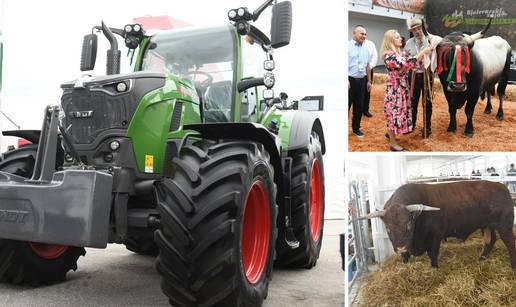 Spektakl u Gudovcu: Boškarin Monte je šampion, za najskuplji traktor treba vam 300.000 €