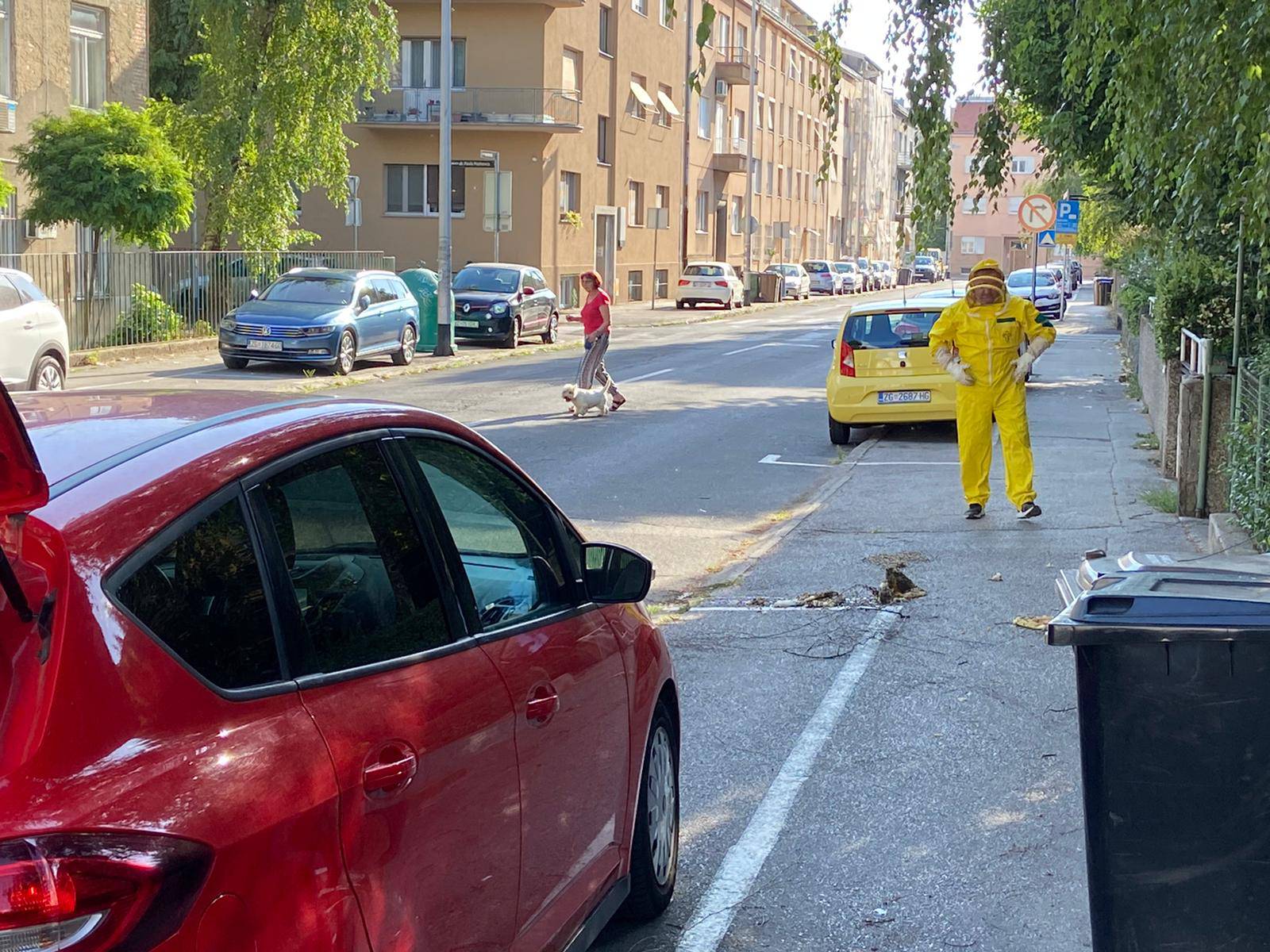 Vjetar je srušio košnicu, a pčelar sakupio pčele i vratio ih unutra