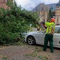 U oluji Ciaran najmanje šest mrtvih, promet u Europi u kaosu