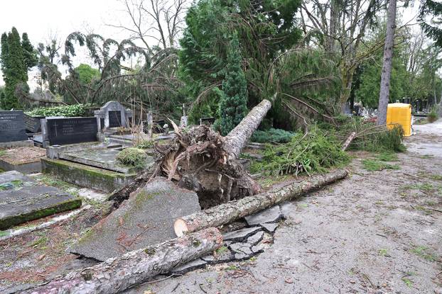 24sata Zagreb: Poljedice velikog nevremena na Mirogoju