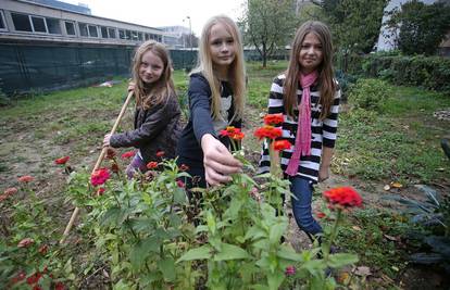 Eko-vrt Trnoslav: Učenici u školskom vrtu uzgajaju povrće