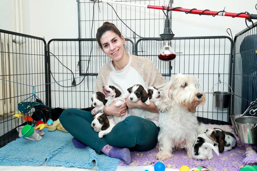 Prije 16 godina plesala je sa psima na Supertalentu, a sada ima najljepšeg psa na svijetu