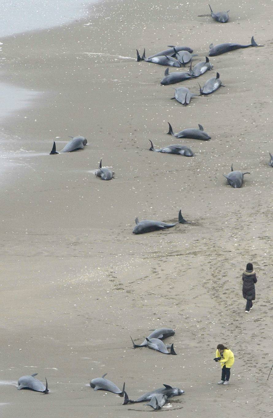 Reuters