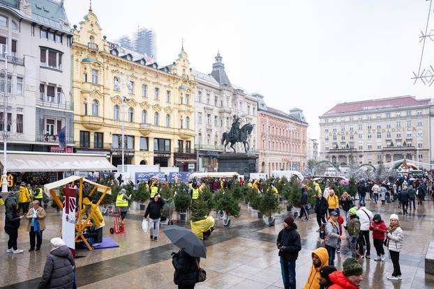 Zagreb: Humanitarna prodaja božićnih drvaca u tegli