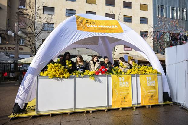 Zagreb: 19. Dan mimoza obilježen na Cvjetnom trgu