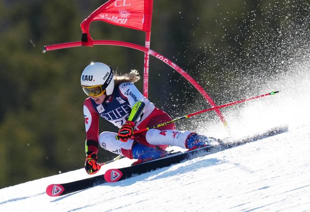 Alpine Skiing: FIS Ski World Cup Finals