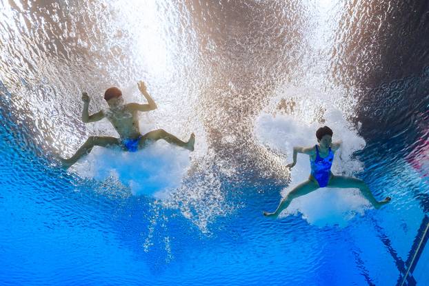 World Aquatics Championships