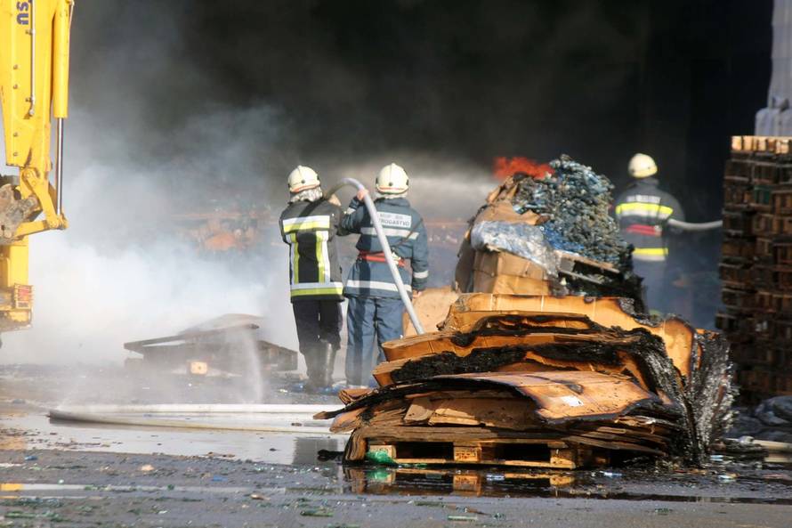 Franjo Lepan/PIXSELL