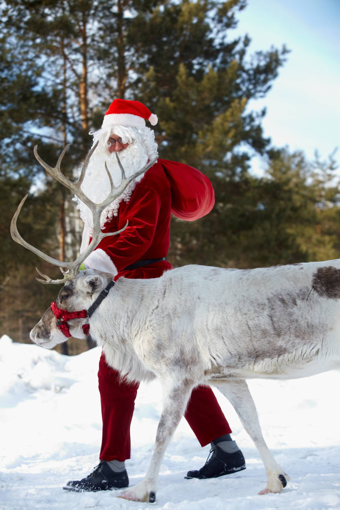 Djedica nam se javio: 'Spremni smo za Božić, moj dragi Rudolf ne može dočekati da krenemo!'