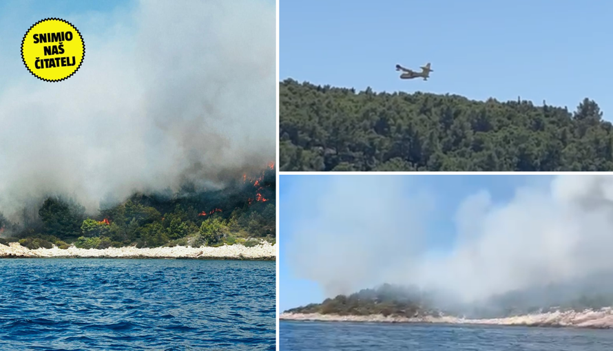 Vatrogasci lokalizirali požar na Braču: 'Približio se kućama, a izgorjelo je pet hektara šume'