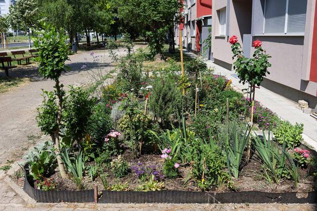 Zagreb: Jasenka Marija Kaštelan ima najljepši vrt na balkonu i ispred zgrade 