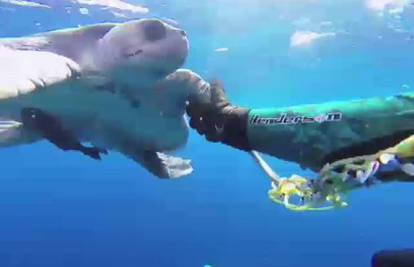 Morska kornjača zahvalila roniocu koji ju je spasio