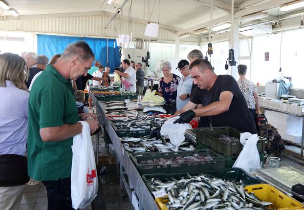 Šibenik: Ponuda ribe na ribarnici